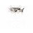 DANIELLE 6 Seat Dining Set