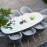 Ambition 8 Seat Oval Dining Set / Lead Chine