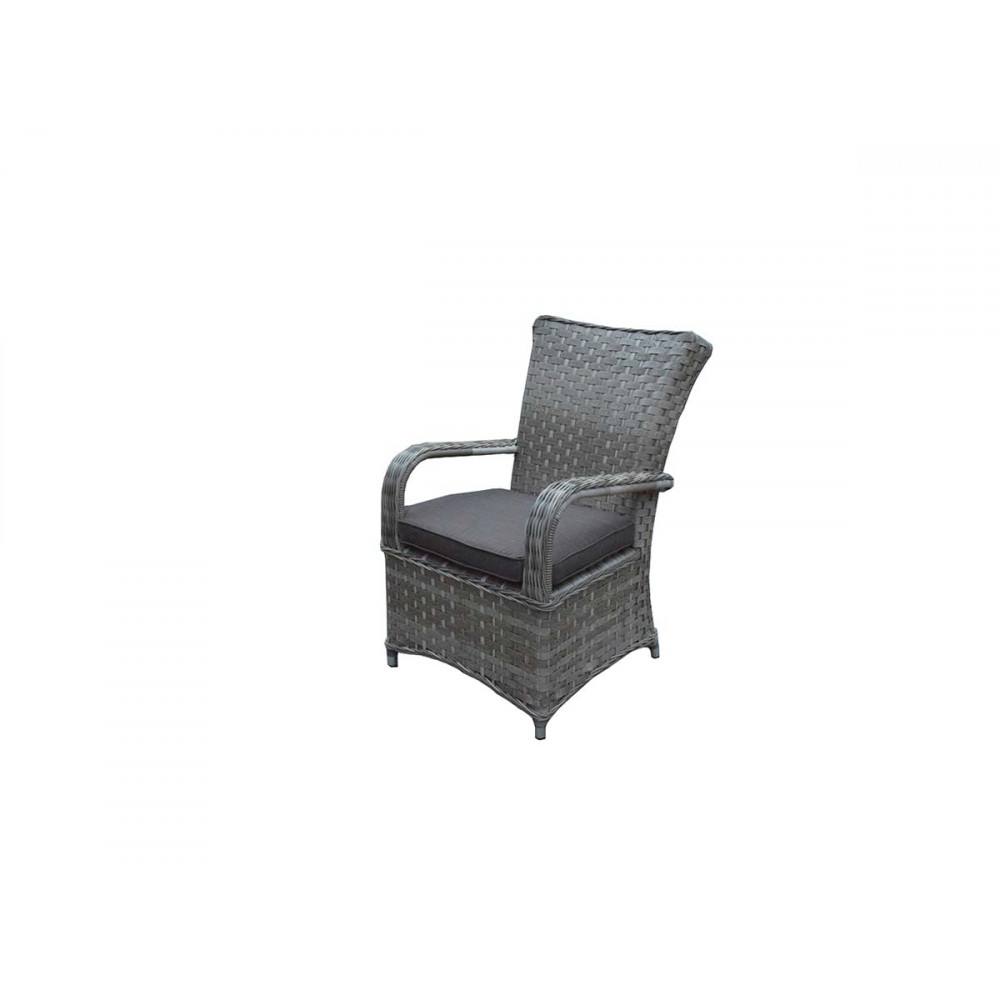 FLORENCE Pair of Dining Chairs Grey