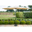 Parasol Rectangular 3mx2m Beige