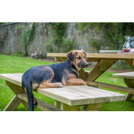 Alexander Rose Pine Farmers Backless Bench 1.8m