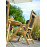 Alexander Rose Roble Sling Recliner Chair