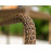 Alexander Rose San Marino Stacking Armchair