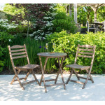 Alexander Rose Sherwood Tea for Two Set