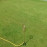 Butterfly Single Ring Spinning Water Sprinkler