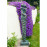 Contemporary Twist Statue – gold verdigris