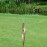 Dragonfly Single Ring Spinning Water Sprinkler