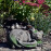 Driftwood Cat