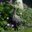 Driftwood Duck