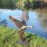Duck in Flight – dark verdigris