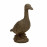 Duck – rust effect