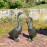 Goose Tall Aluminium – dark verdigris