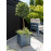 Norfolk Leisure Florenity Galaxy Square Planter