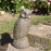 Owl – rust effect