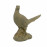 Pheasant – rust effect