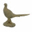 Pheasant – rust effect
