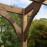 Premium Lean to Pergola - 2 Post