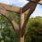 Premium Lean to Pergola - 3 Post