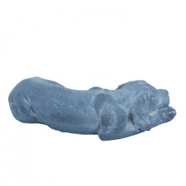 Puppy Lying – blue iron effect