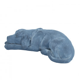 Puppy Lying – blue iron effect