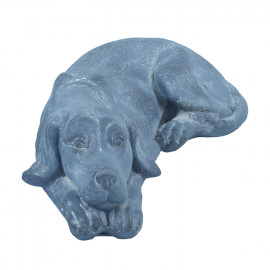 Puppy Lying – blue iron effect