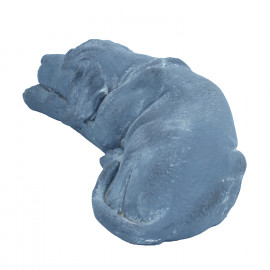Puppy Lying – blue iron effect