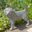 Puppy Standing – blue iron effect