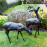Small Deer pair – dark verdigris