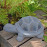 Tortoise Planter – blue iron effect